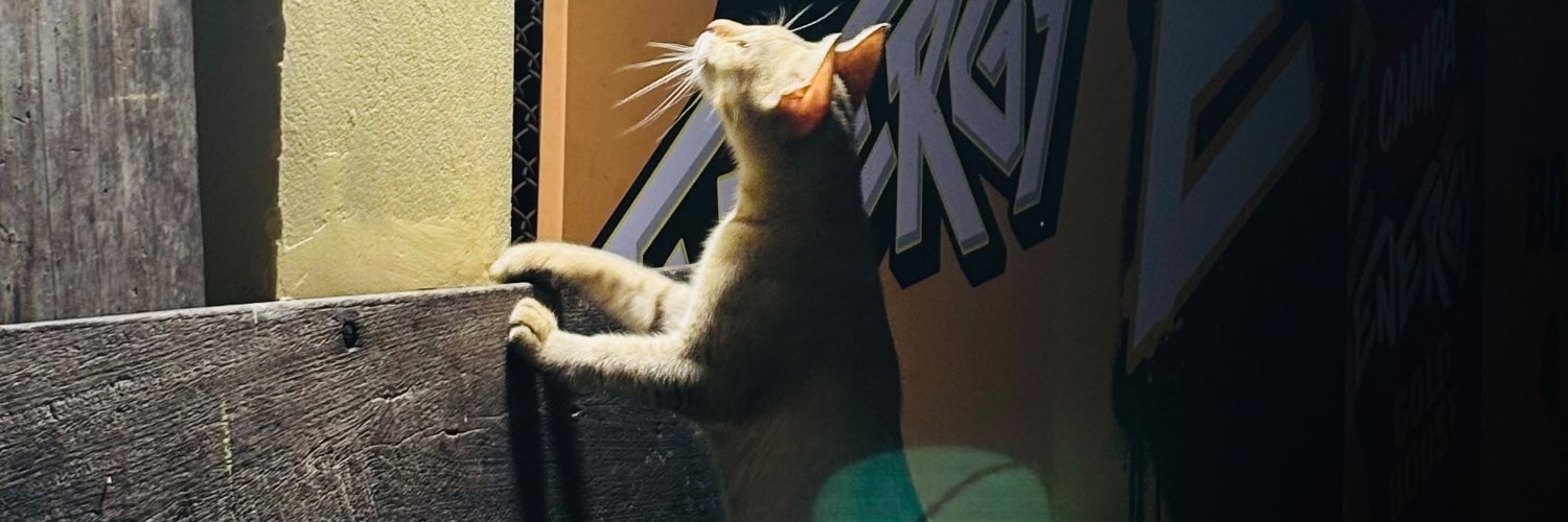 Aniketninja's profile banner image