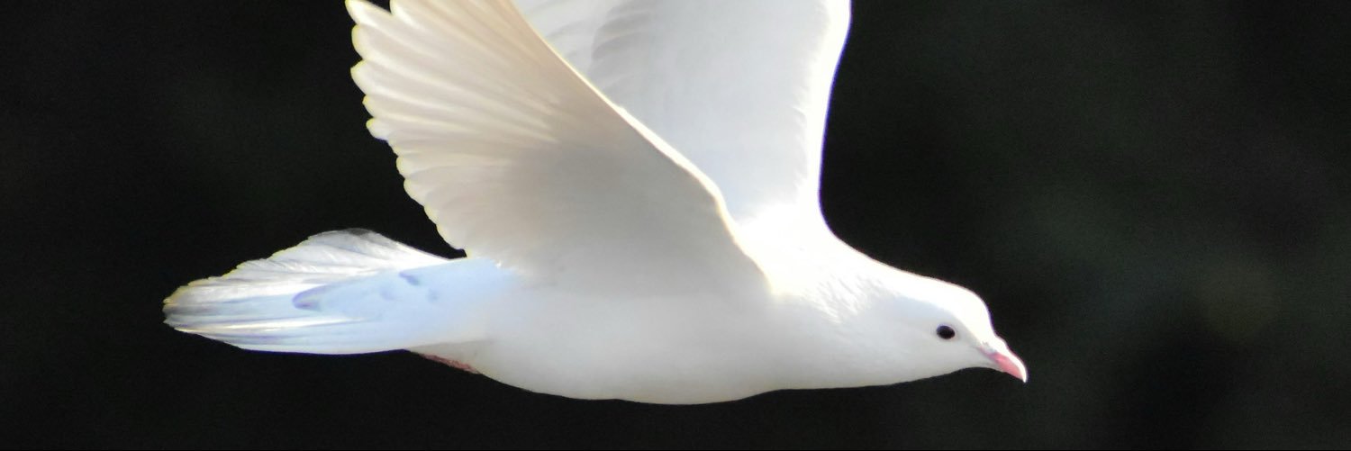 Heather_Uno's profile banner image