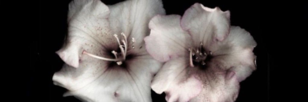 Mokyeonsmama's profile banner image