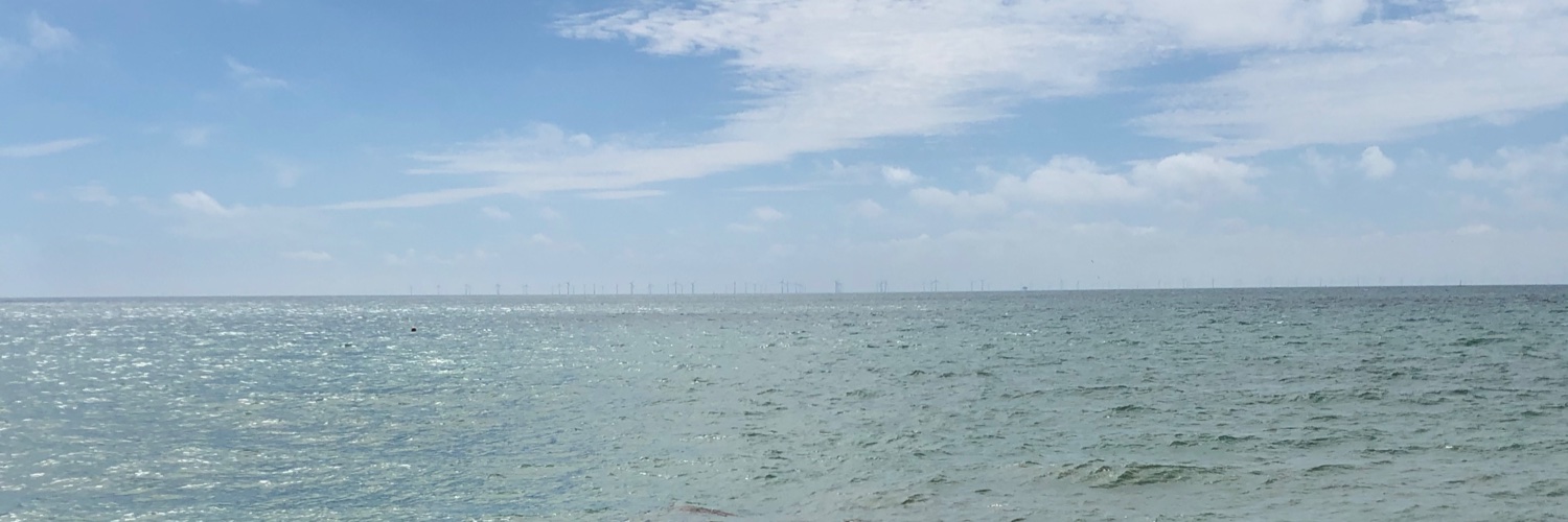 James Alexander Allen banner