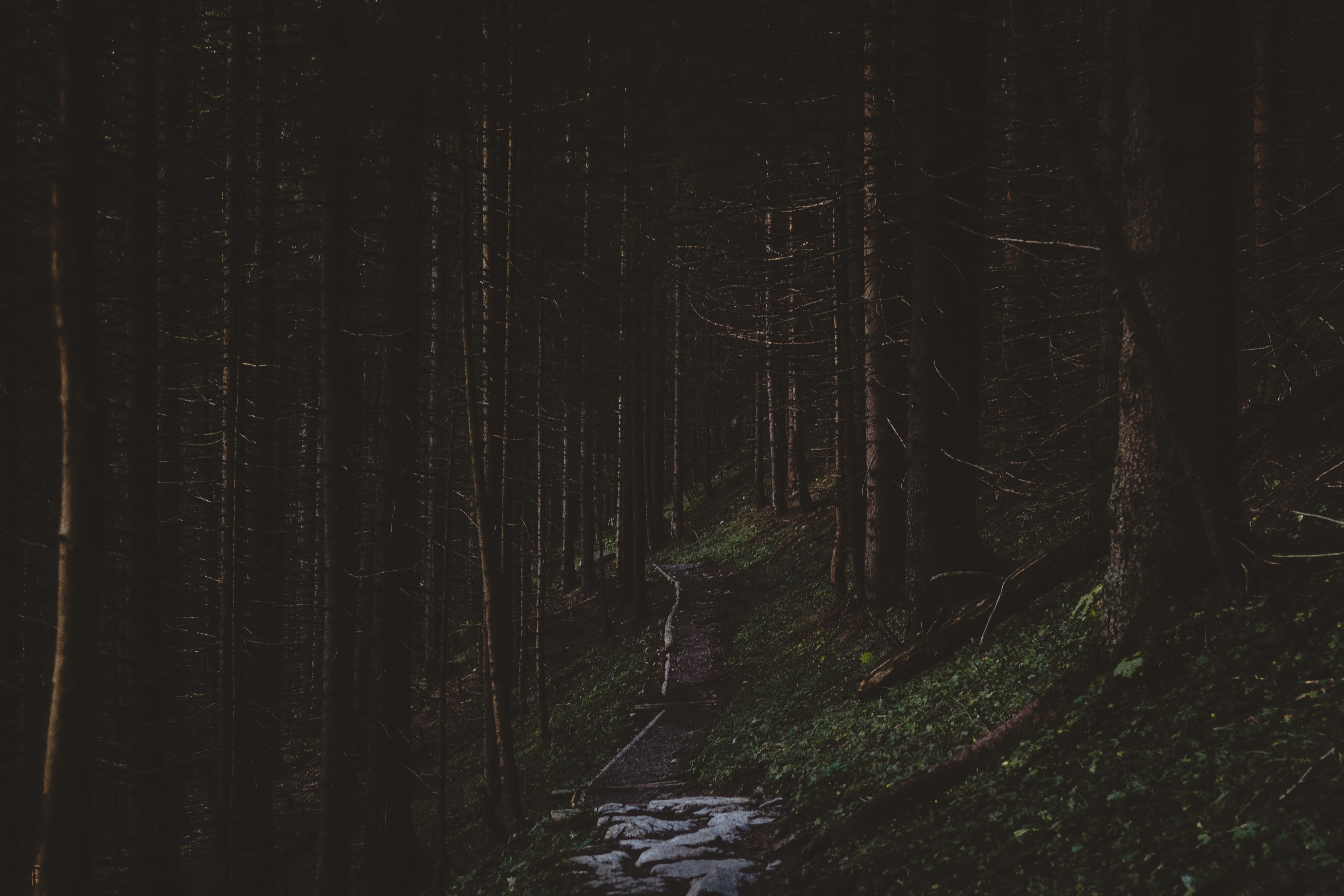 Ichaalauraa3GP's profile banner image