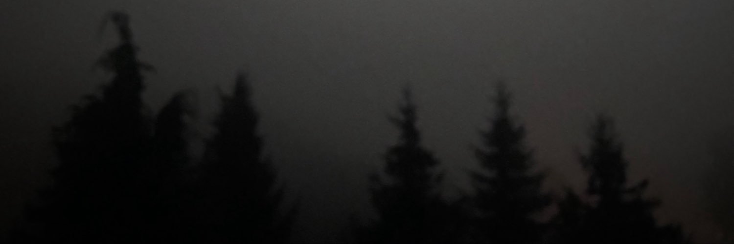 isplitinhalf's profile banner image
