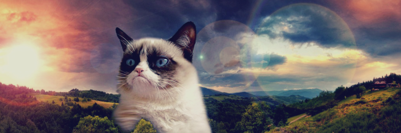 Artem Tolmachev banner