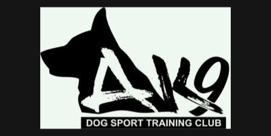 ak9_dstc's profile banner image