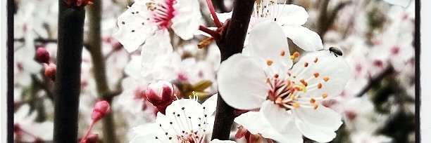boonenn's profile banner image