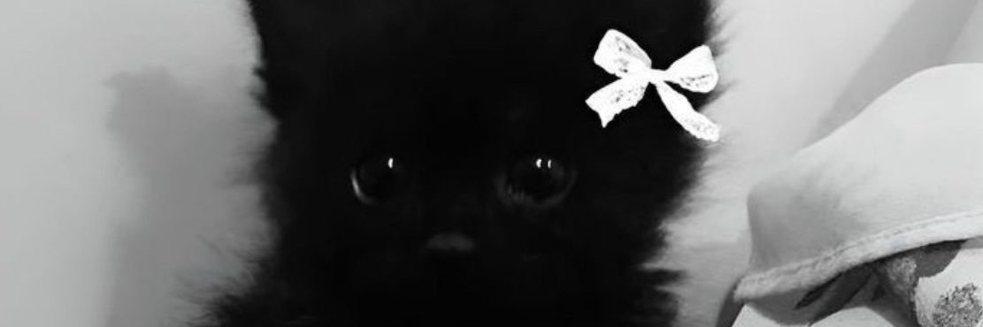 serry_yediche's profile banner image
