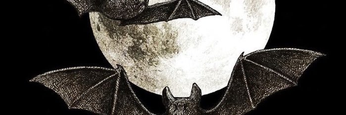 vampirekarmas's profile banner image