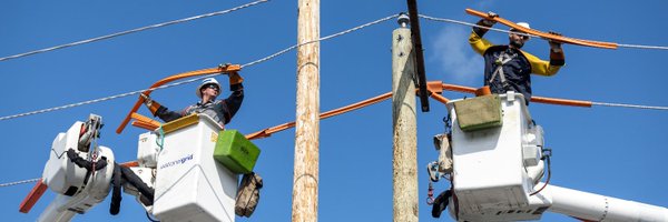 stellapds_NGrid Profile Banner