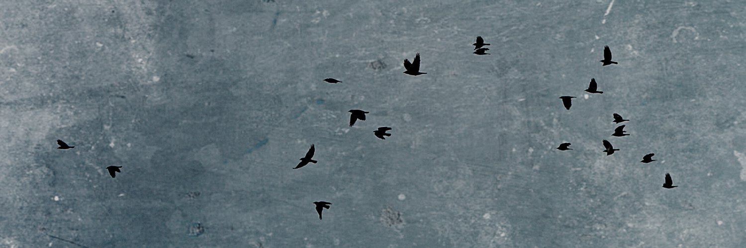 bjarnibm's profile banner image