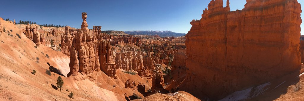 Michael Saunders banner