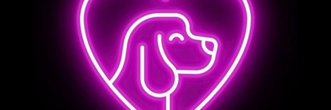 roseDavidk1d's profile banner image