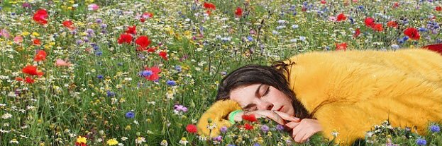 Jessie Dolliver banner