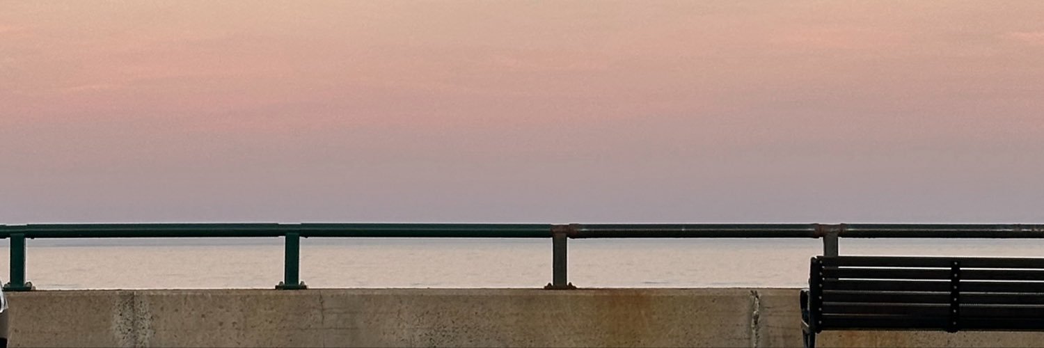 ChineseDinoZ's profile banner image