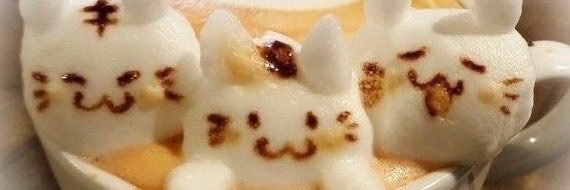 moekodo's profile banner image