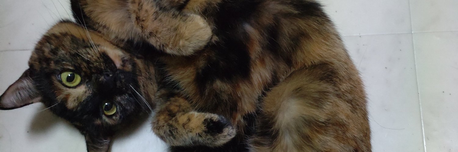 kinopy1020's profile banner image