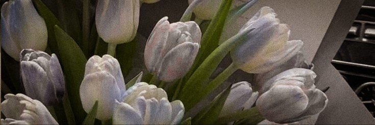 rowesmour's profile banner image