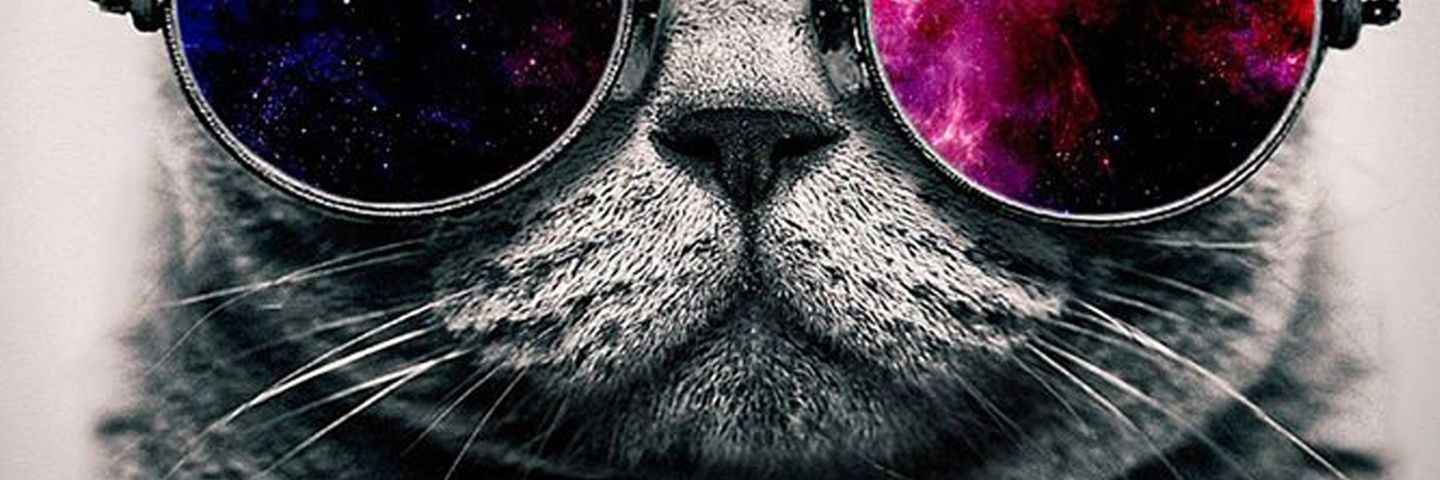 MariaBeck's profile banner image