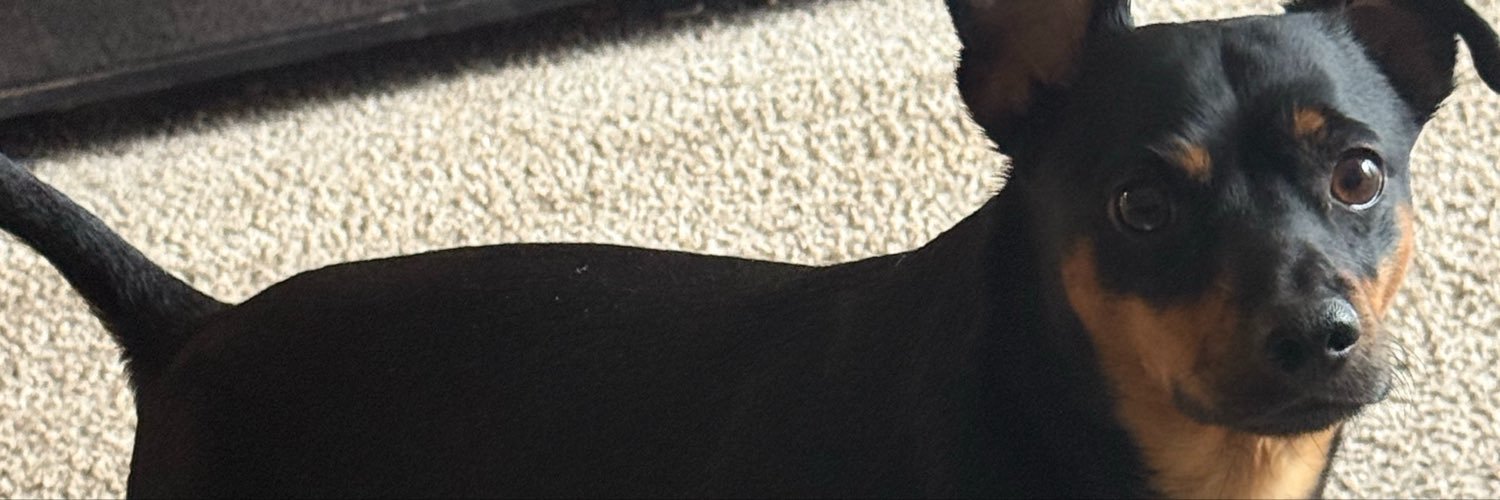 CuteViralV's profile banner image