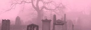 Kittykatkatrine's profile banner image