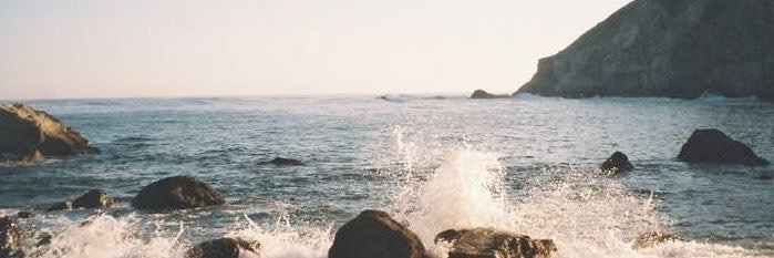 Bellamyyask's profile banner image