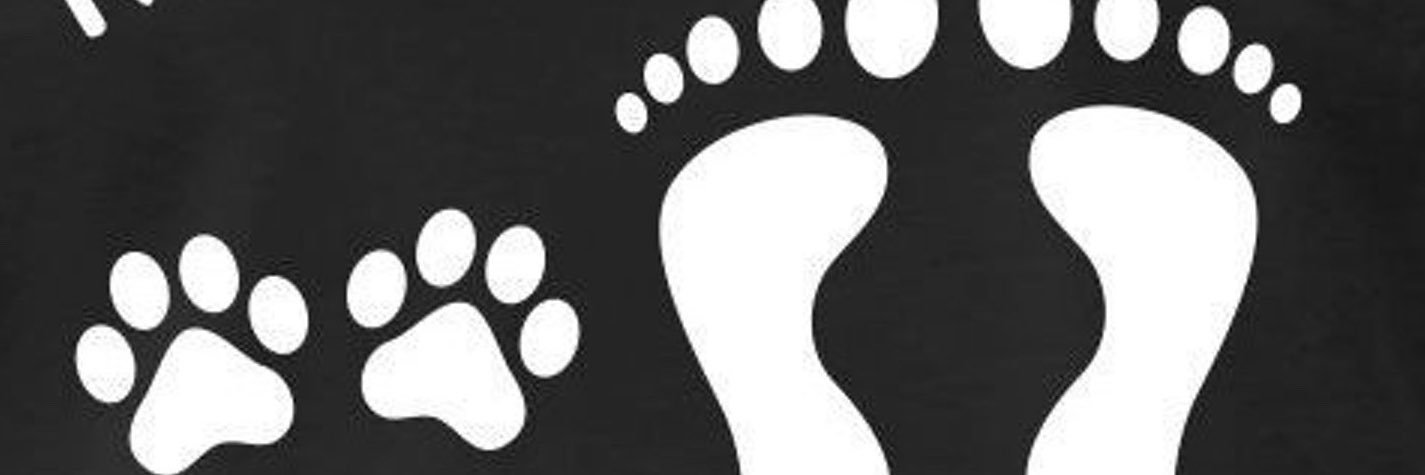 TSsofiaCarlson's profile banner image