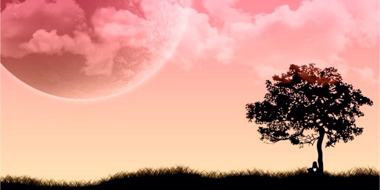 xmandy14's profile banner image