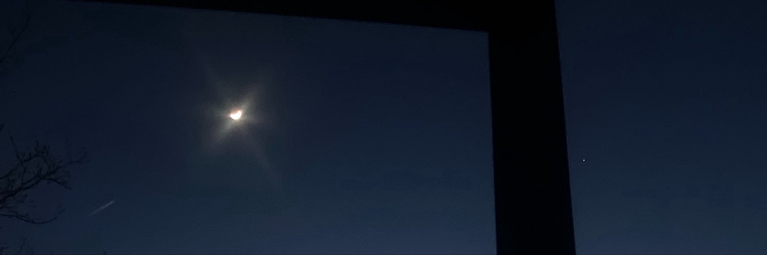 littlebeating's profile banner image
