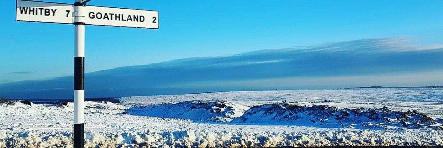 Craig 🍃 banner