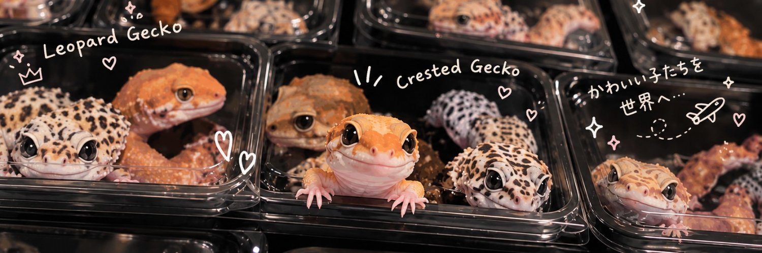 KReptileExport's profile banner image