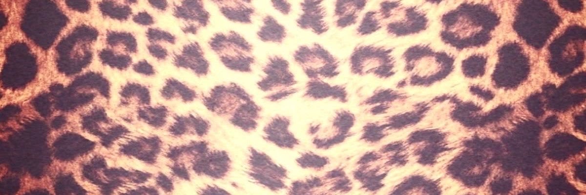 carnnibales's profile banner image