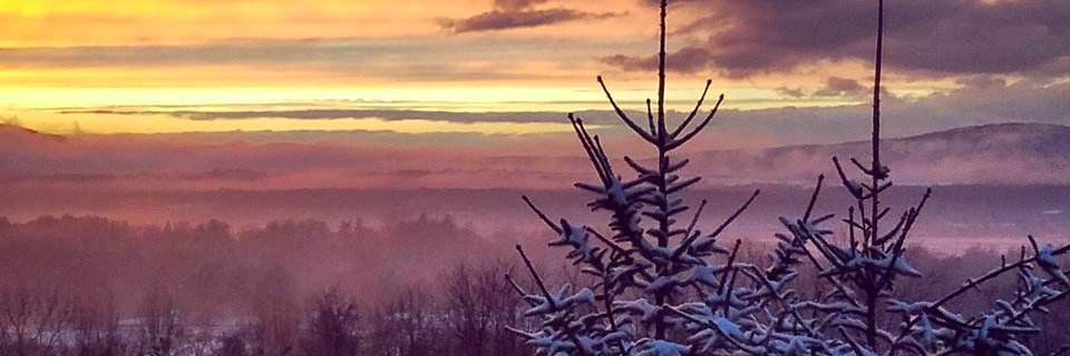 LindsaySBaer's profile banner image