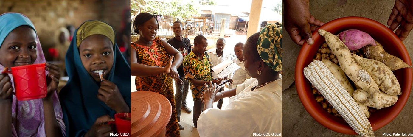 Cracking the Nut banner