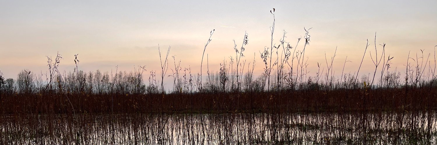 koenknol's profile banner image