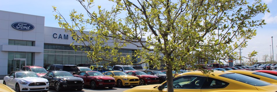 Cam_Clark_Ford's profile banner image