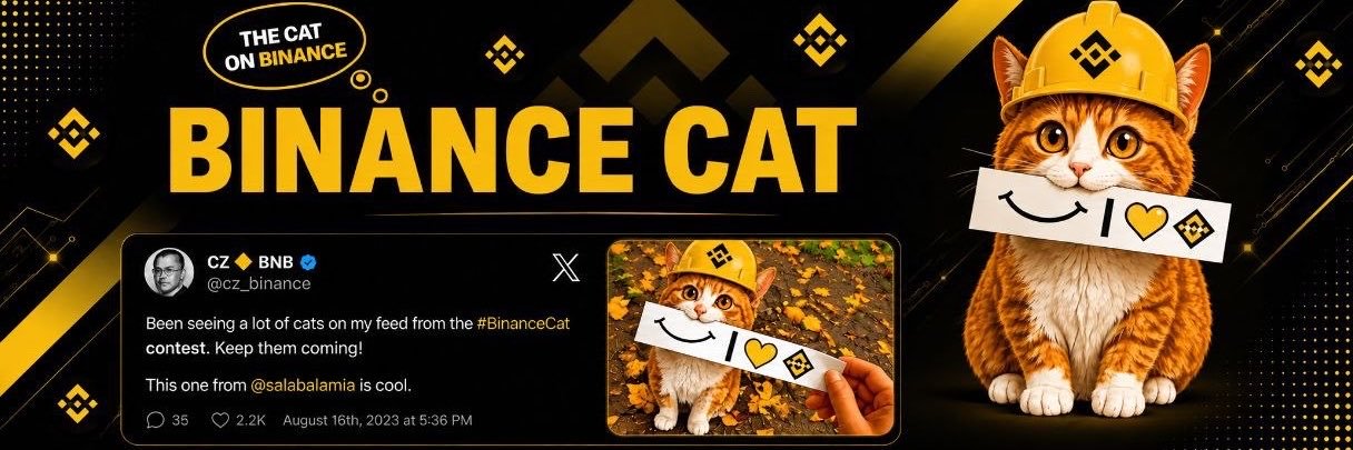 BNBCAT_X's profile banner image