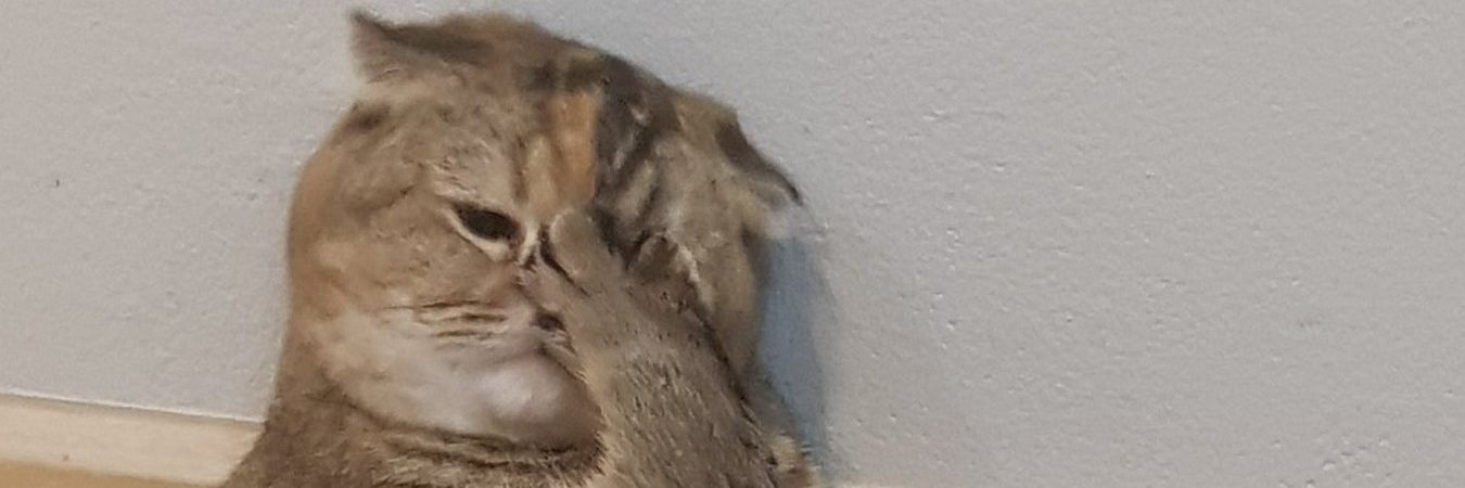 NONGPKK's profile banner image