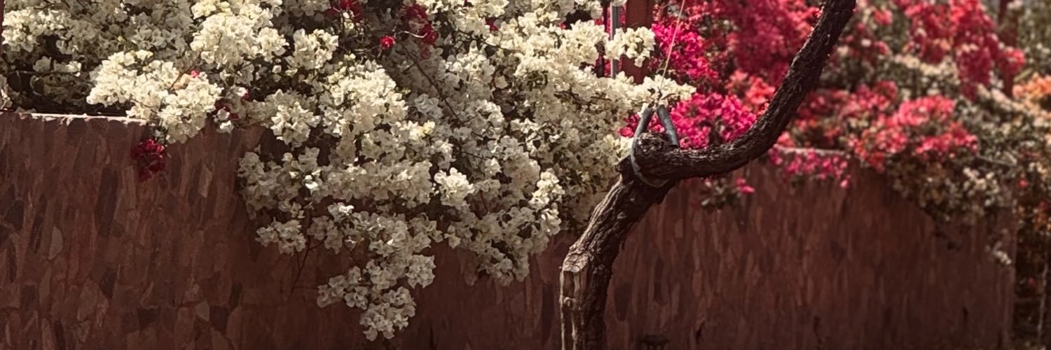 alee_lov08's profile banner image