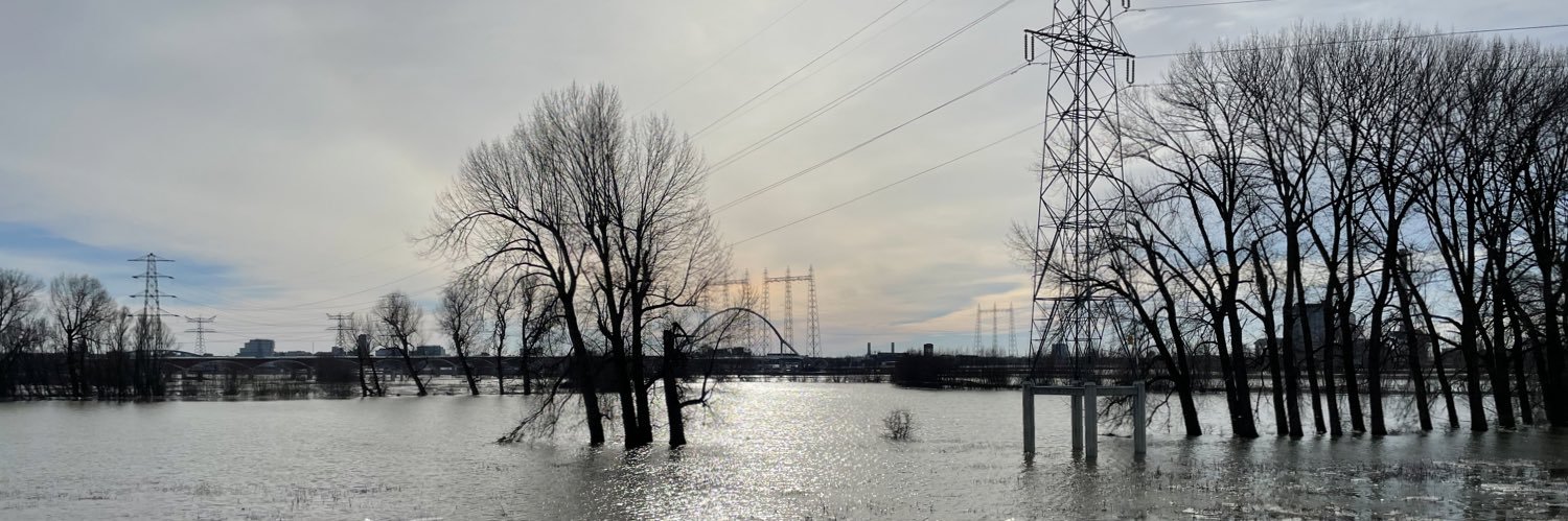 Loek Frederiks banner