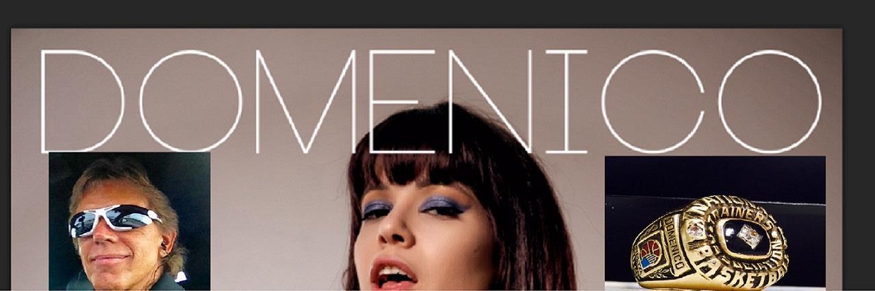 Vinnie Domenico banner