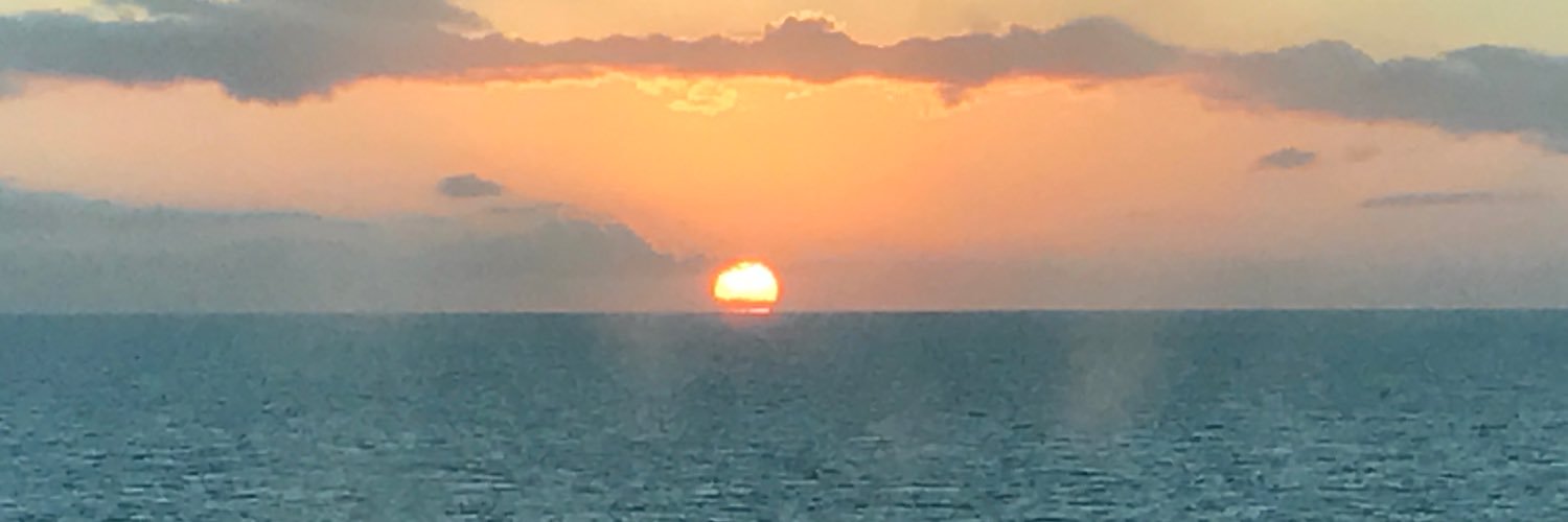 tra_ani's profile banner image
