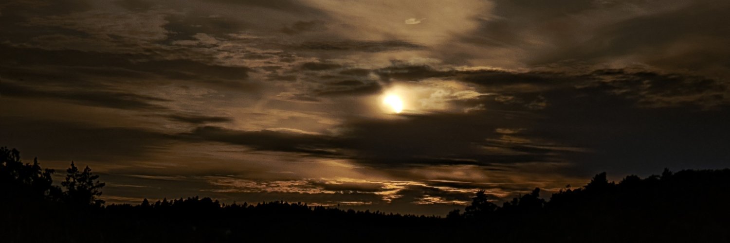 Ronovuika's profile banner image