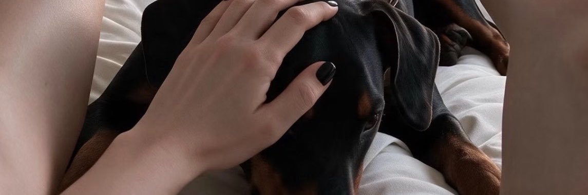 Saglamdoseyen's profile banner image