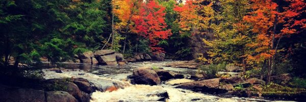 sethpalmer3 Profile Banner