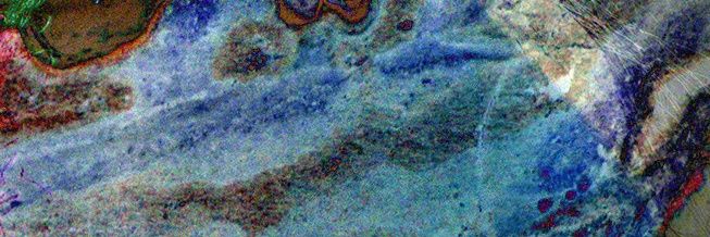 sereia du house banner