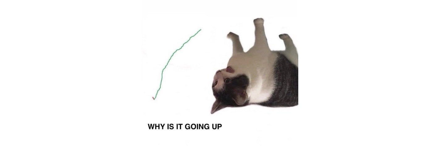 UpSideDownCattt's profile banner image