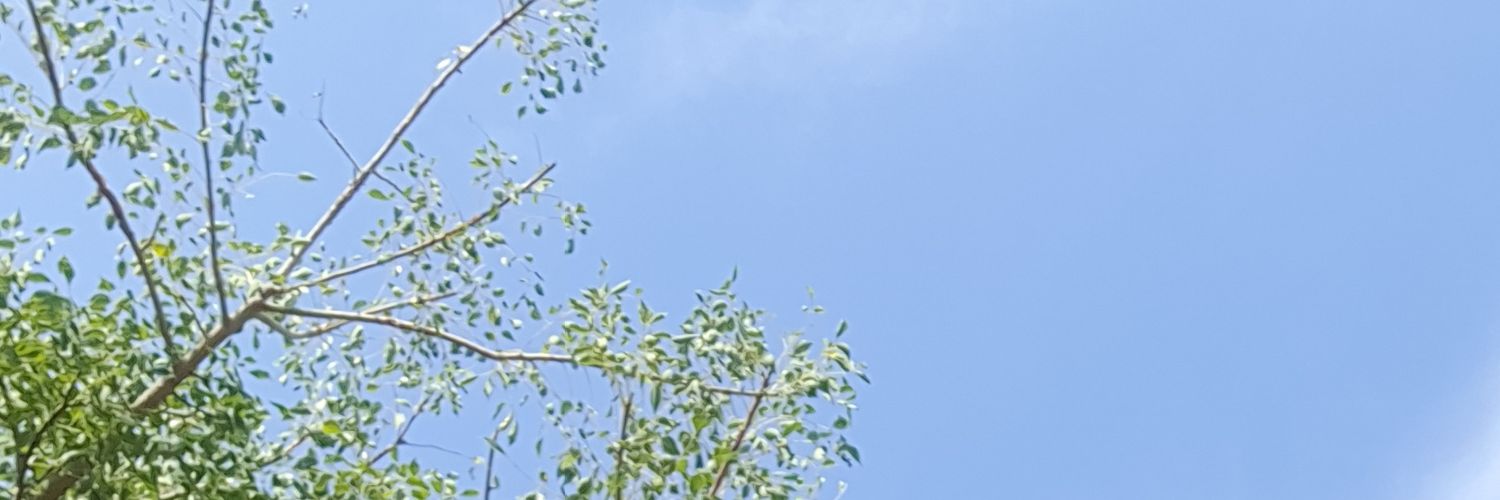 Life_Love_L_ust's profile banner image