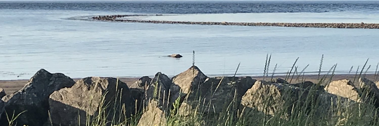 Donna Pidlisny banner