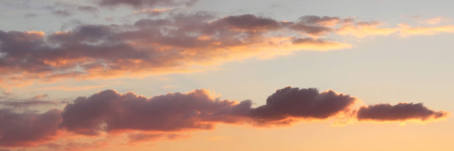 Zoe_Thompson10's profile banner image