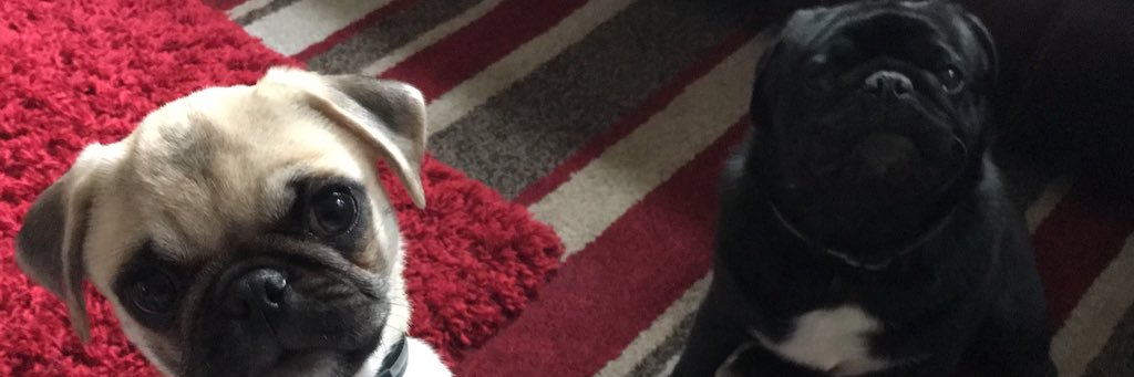 Stephen Barton banner