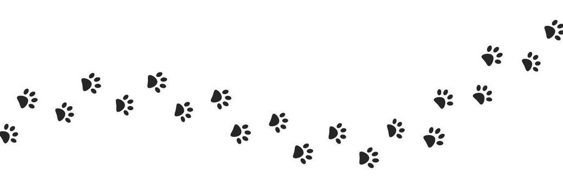 Puppigirl08's profile banner image
